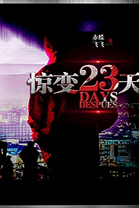 《惊变23天》