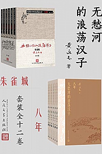 《无愁河的浪荡汉子:朱雀城 八年》(全12卷)