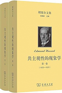 《胡塞尔文集: 共主观性的现象学》(全三卷)