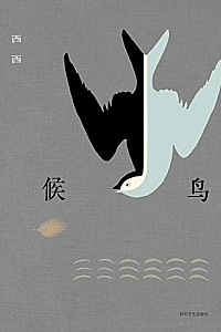 《候鸟》