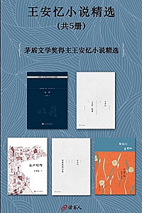 《王安忆小说精选》(套装共5册)
