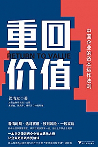《重回价值:中国企业的资本运作法则》