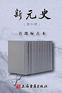 《新元史》(全十册)
