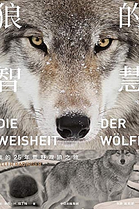 《狼的智慧》