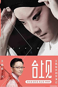 《台上见:王珮瑜京剧学演记》