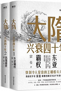 《大隋兴衰四十年》(全4册)