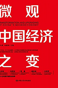 《微观中国经济之变》