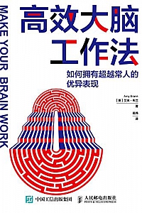 《高效大脑工作法:如何拥有超越常人的优异表现》
