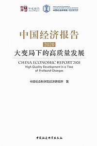 《中国经济报告·2020:大变局下的高质量发展》