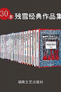 《30本残雪经典作品集》(套装共30册)