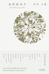 《灰烬的光芒》