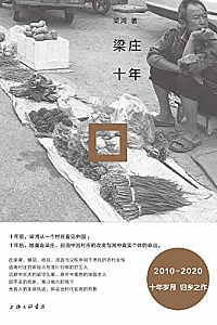 《梁庄十年》
