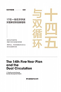 《十四五与双循环:17位一线经济学家深度解读 新发展格局》