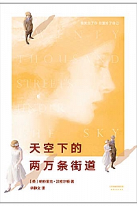 《天空下的两万条街道》