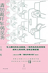 《请勿离开车祸现场》