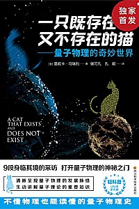 《一只既存在又不存在的猫》