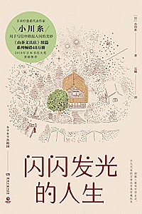 《闪闪发光的人生》