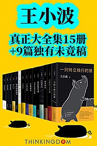 《王小波真正大全集》 ( 王小波作品系列.15册 )