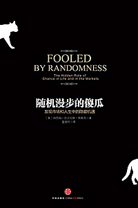 《随机漫步的傻瓜》