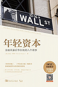 《年轻资本:金融风暴后华尔街的八个故事》