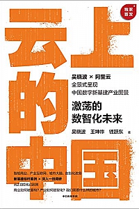 《云上的中国:激荡的数智化未来》
