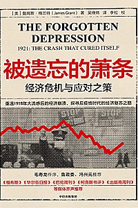 《被遗忘的萧条:经济危机与应对之策》