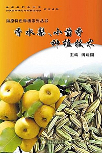 《香水梨、小茴香种植技术》