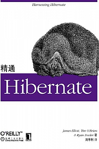 《精通Hibernate》