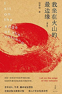 《我坐在火山的最边缘》