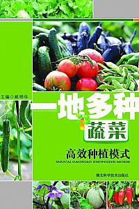 《一地多种蔬菜高效种植模式》