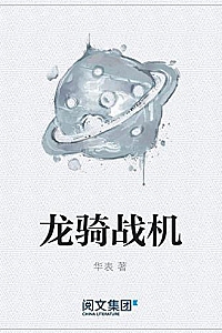 《龙骑战机 》