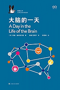 《大脑的一天》