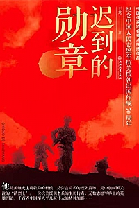 《迟到的勋章》