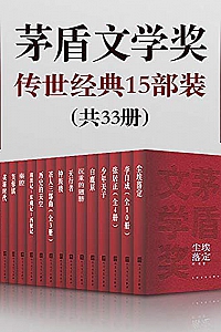 《茅盾文学奖传世经典15部装》(共33册)