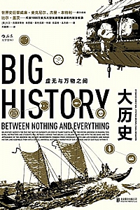 《大历史》