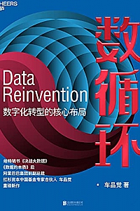 《数循环:数字化转型的核心布局》