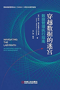 《穿越数据的迷宫:数据管理执行指南》
