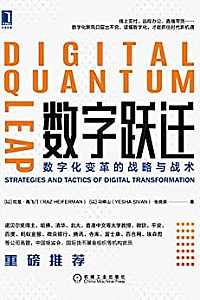 《数字跃迁:数字化变革的战略与战术》