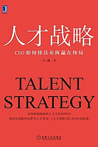 《人才战略:CEO如何排兵布阵赢在终局》