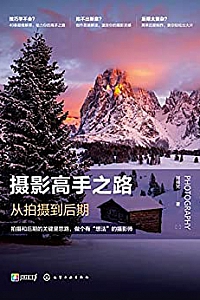 《摄影高手之路:从拍摄到后期 》