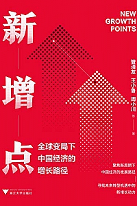 《新增点 : 全球变局下中国经济的增长路径》