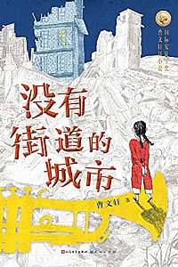 《没有街道的城市》