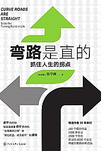 《弯路是直的:抓住人生的拐点》