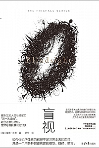 《盲视》