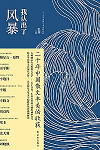 《我认出了风暴 》