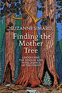 《Finding the Mother Tree  》(English Edition)