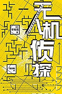 《无人机侦探》