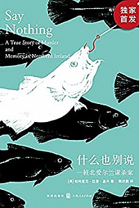 《什么也别说:一桩北爱尔兰谋杀案》