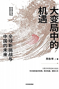 《大变局中的机遇:全球新挑战与中国的未来》