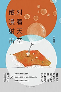 《对着天空散漫射击》